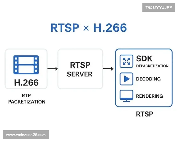 跨界联名直播模式在演进阶段兴起 拓宽了体育直播链路管理体系的盈利边界
